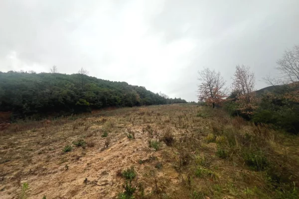 Shitet toke  ne Lanabregas,Dajt/400,000 euro