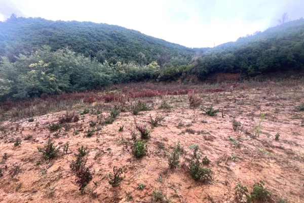 Shitet toke  ne Lanabregas,Dajt/400,000 euro