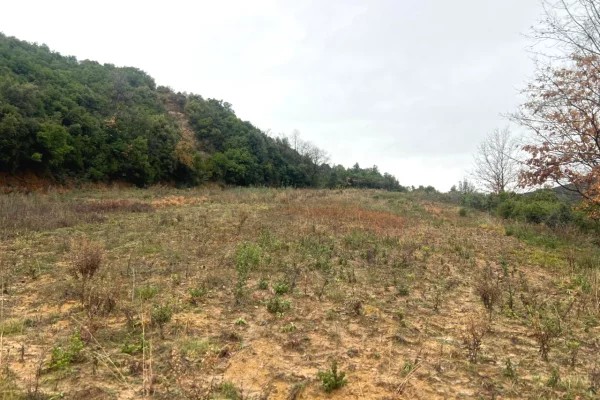 Shitet toke  ne Lanabregas,Dajt/400,000 euro