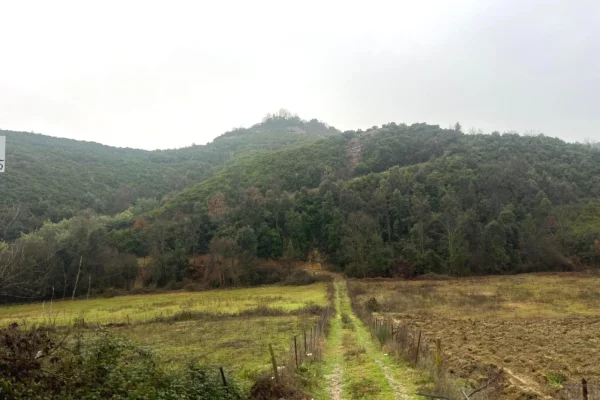 Shitet toke  ne Lanabregas,Dajt/400,000 euro