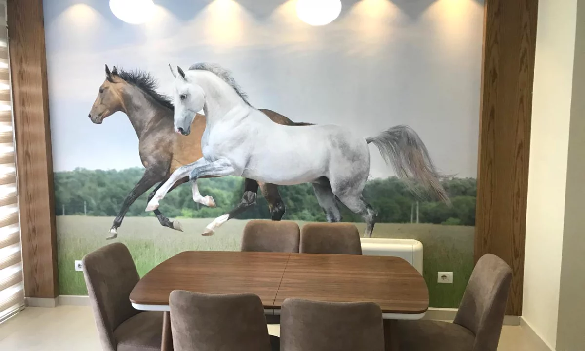 Shtepi ne shitje Vila Luksoze ne Tirane, 6+1, Mobilimi E mobiluar, Pagesa 720,000  Euro.