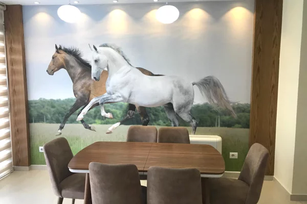 Shtepi ne shitje 6+1 ne Tirane - 720,000 Euro