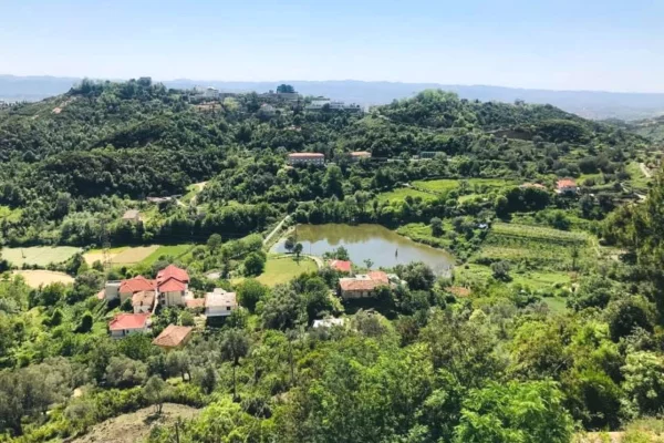 Ambient biznesi me qera 2+1 ne Tirane - 2,000 Euro