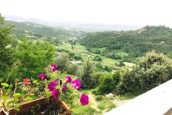 Ambient biznesi me qera 2+1 ne Tirane - 2,000 Euro