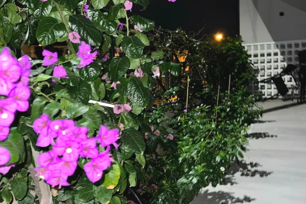 Casa privata/Indipendente in affitto a Tirana 1+1, Arredato