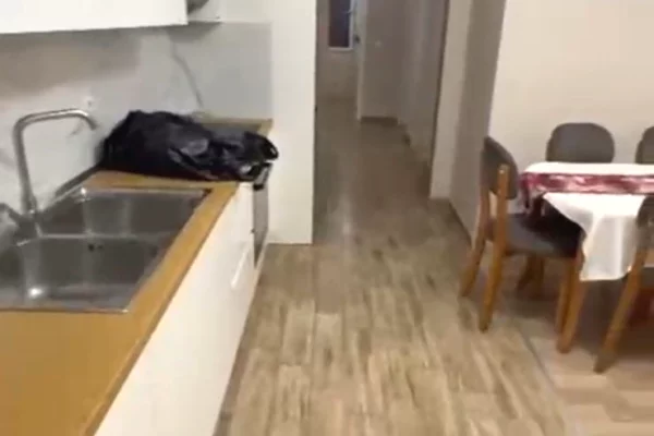 Appartamento in affitto a Tirana 2+1, Arredato