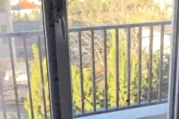 Appartamento in affitto a Tirana 2+1, Vuoto