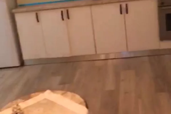 Shtepi me qera Apartament ne Tirane, 1+1, Mobilimi E mobiluar, Pagesa 38,000  Leke.