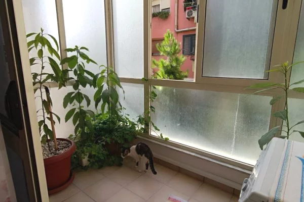 Shtepi ne shitje Apartament ne Tirane, 2+1, Mobilimi E mobiluar, Pagesa 130,000  Euro.