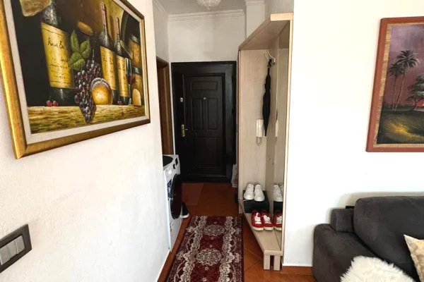Shtepi me qera Apartament ne Tirane, 1+1, Mobilimi E mobiluar, Pagesa 600  Euro.