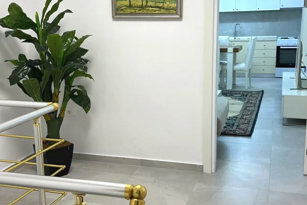 Duplex (casa a 2 piani) in affitto a Tirana 2+1, Arredato