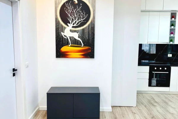 Appartamento in affitto a Tirana 2+1, Arredato