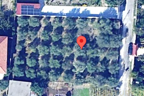 Shotet Toke ne Fier/45,500 Euro