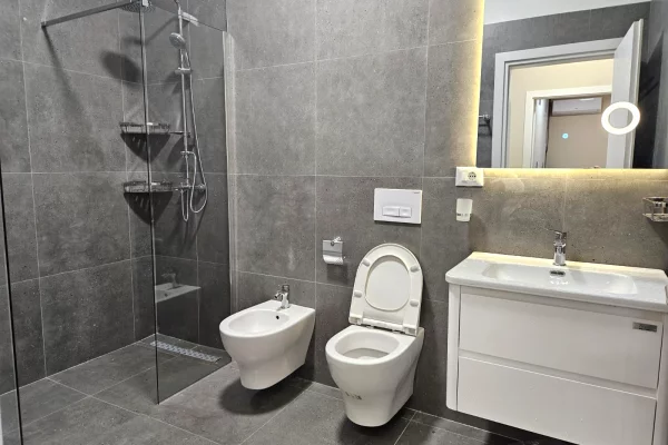 Apartment for rent in Tirana 2+1, Furnished