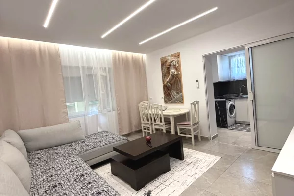 Shtepi me qera Apartament ne Tirane, 1+1, Mobilimi E mobiluar, Pagesa 450  Euro.