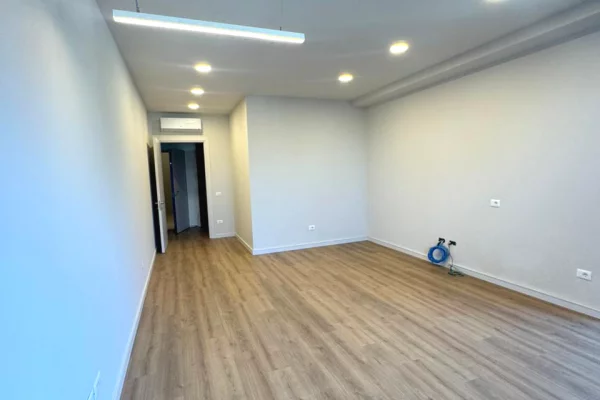 Jepet me qera Ambient per Zyra Rruga Elbasanit, Lion Park