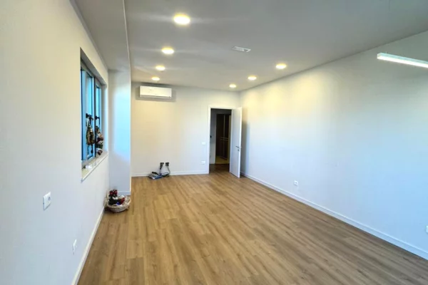 Jepet me qera Ambient per Zyra Rruga Elbasanit, Lion Park