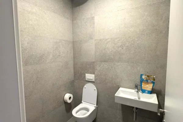 Jepet me qera Ambient per Zyra Rruga Elbasanit, Lion Park