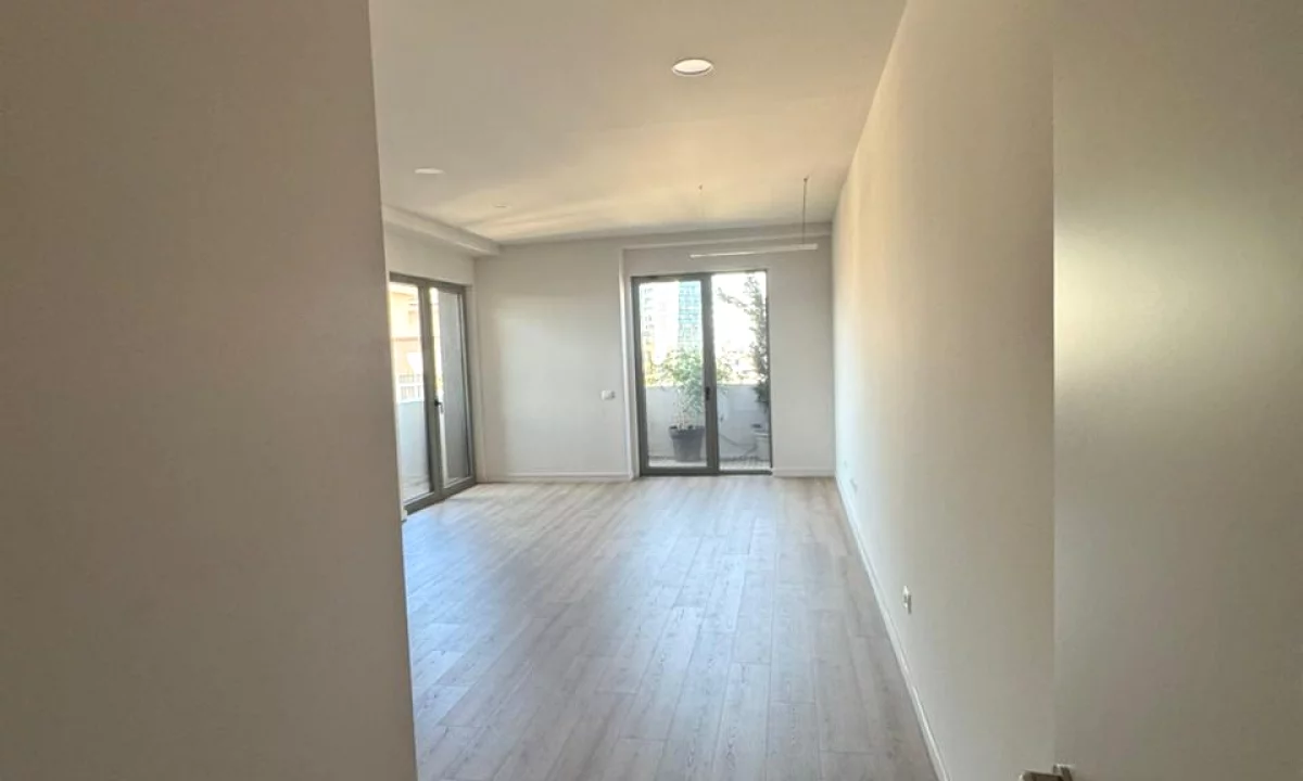 Jepet me qera Ambient per Zyra Rruga Elbasanit, Lion Park