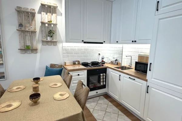 Shtepi me qera Apartament ne Tirane, 1+1, Mobilimi E mobiluar, Pagesa 590  Euro.
