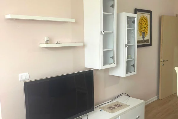 Shtepi ne shitje Apartament ne Tirane, 1+1, Mobilimi E mobiluar, Pagesa 130,000  Euro.