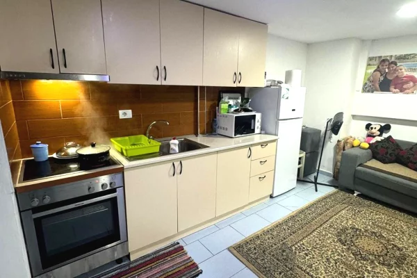 Apartment for rent in Tirana 1+1, Furnished