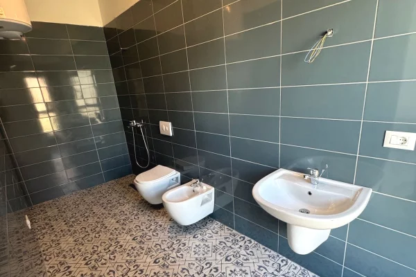 Shtepi me qera Apartament ne Tirane, 1+1, Mobilimi Pjeserisht e mobiluar, Pagesa 40,000  Leke.