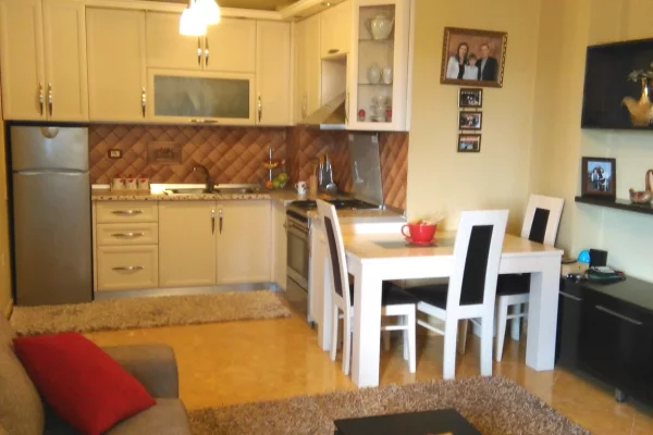 Shtepi ne shitje Apartament ne Tirane, 1+1, Mobilimi E mobiluar, Pagesa 125,000  Euro.