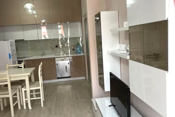 Apartment for rent in Tirana 1+1, Furnished