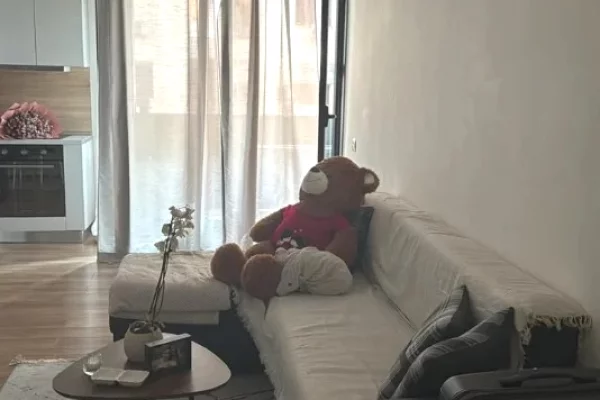 Shtepi me qera Apartament ne Tirane, 1+1, Mobilimi E mobiluar, Pagesa 60,000  Leke.