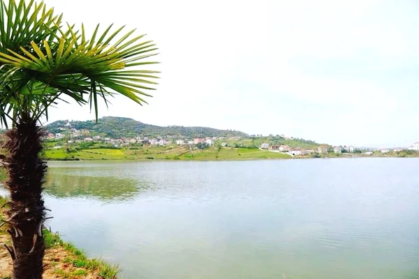 Truall ose Toke ne Tirane - 240,000 Euro