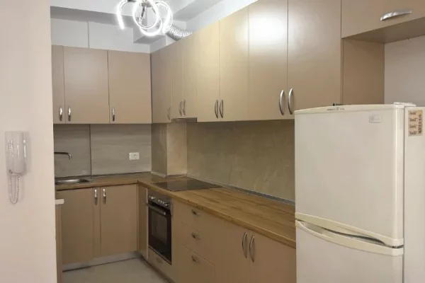 Shtepi me qera Apartament ne Tirane, 1+1, Mobilimi E mobiluar, Pagesa 55,000  Leke.