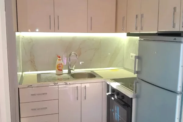 Apartment for rent in Tirana Garsoniere, Furnished