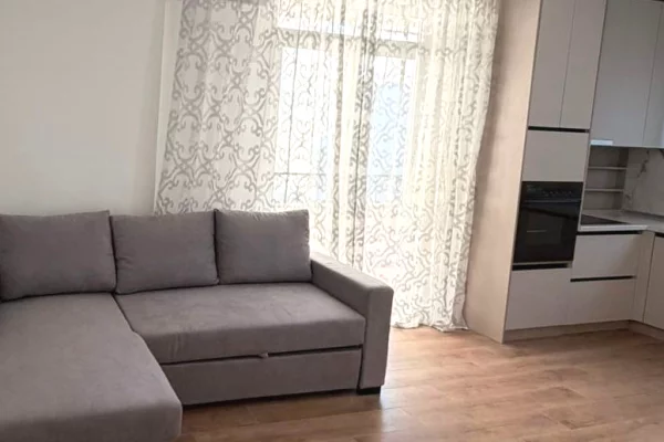 Shtepi me qera Apartament ne Tirane, 1+1, Mobilimi E mobiluar, Pagesa 650  Euro.