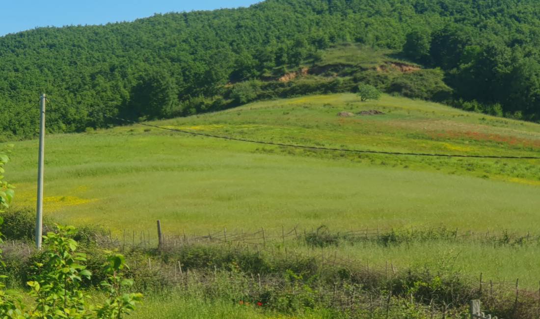Shitet pjese toke Gjiri Lalzit