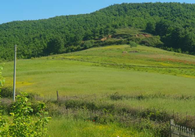 Truall ose Toke ne Durres - 40,000 Euro