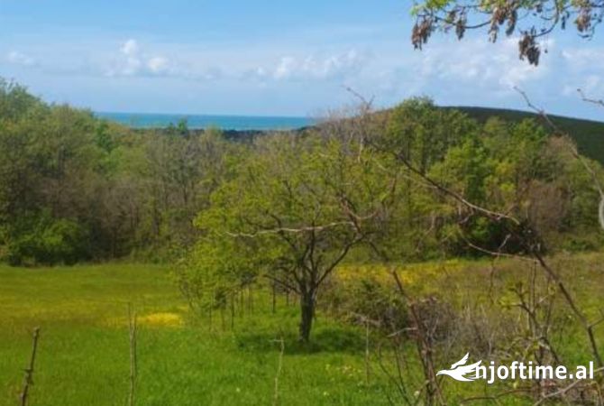 Shitet toke Gjiri Lalzit