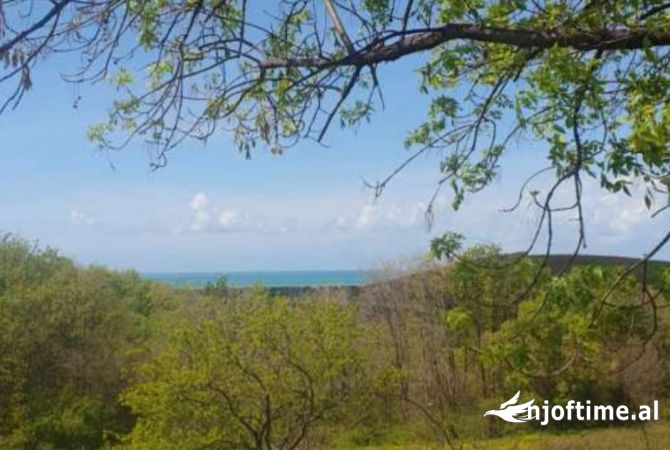 Shitet toke Gjiri Lalzit