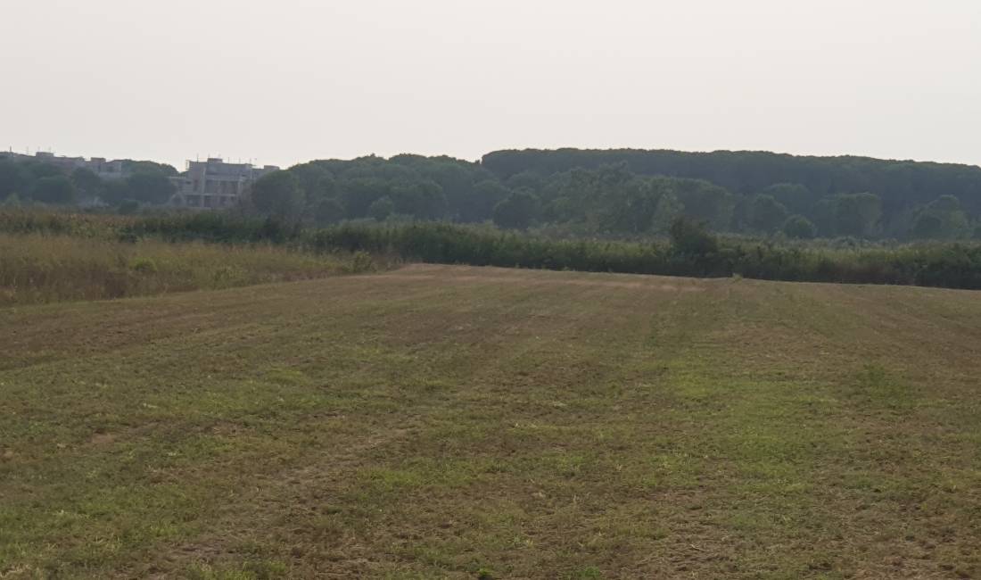 Shitet truall Gjiri Lalzit 