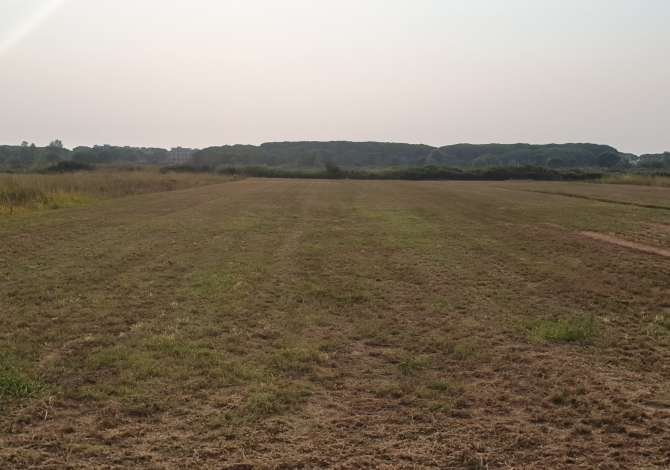 Shitet truall Gjiri Lalzit 