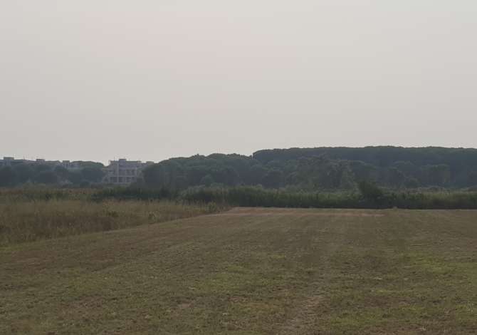 Shitet truall Gjiri Lalzit 