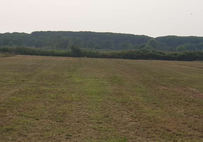 Truall ose Toke ne Durres - 400,000 Euro