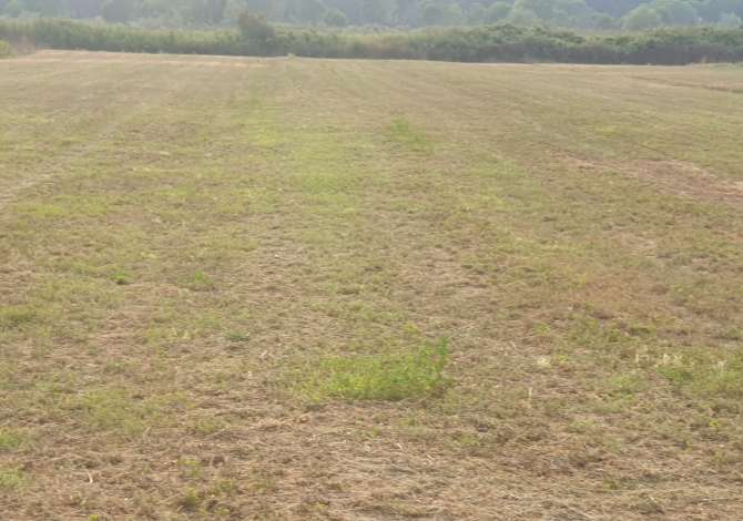 Truall ose Toke ne Durres - 400,000 Euro