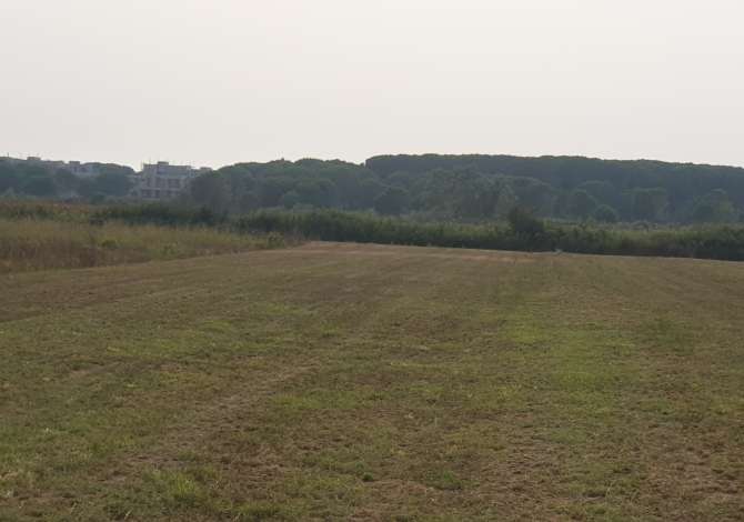 Truall ose Toke ne Durres - 400,000 Euro