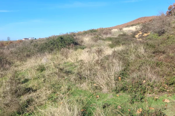 Land for Sale in Durres - 65,000 Euro