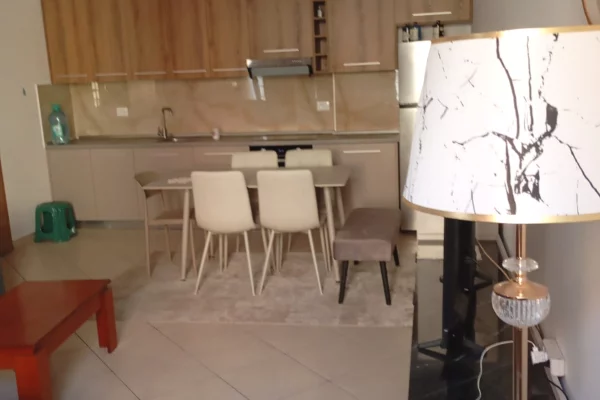 Shtepi me qera Apartament ne Tirane, 1+1, Mobilimi E mobiluar, Pagesa 55,000  Leke.