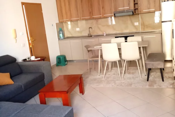 Shtepi me qera Apartament ne Tirane, 1+1, Mobilimi E mobiluar, Pagesa 55,000  Leke.