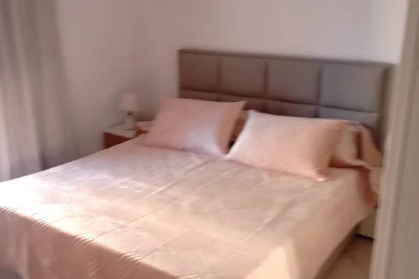 Shtepi me qera Apartament ne Tirane, 1+1, Mobilimi E mobiluar, Pagesa 55,000  Leke.