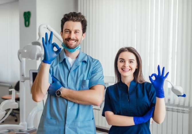 Job Offers for Assistant in Tirana