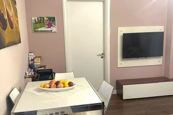 House for Rent 1+1 in Tirana - 600 Euro